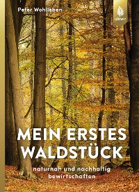 Mein erstes Waldstück