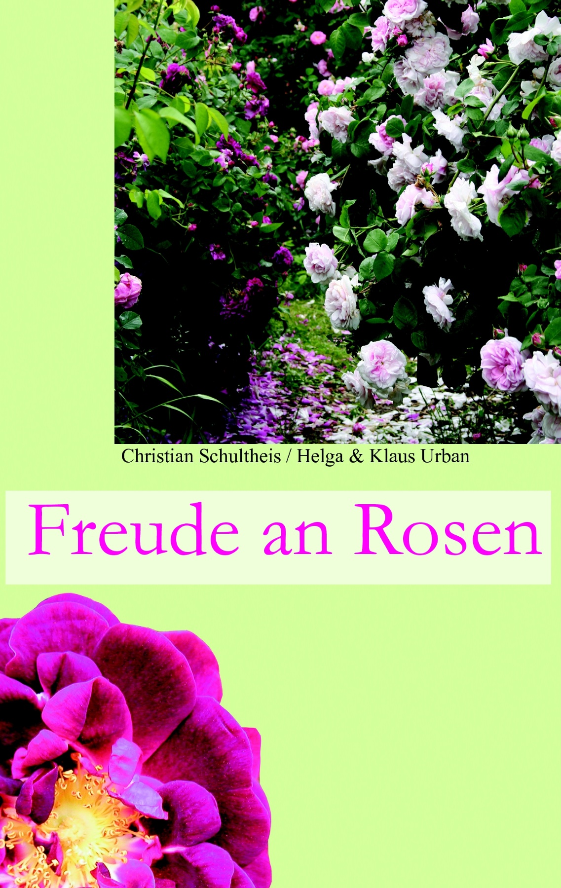 Freude an Rosen