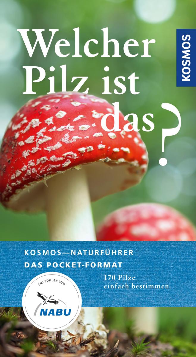 Welcher Pilz ist das?