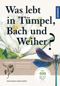 Was lebt in Tümpel, Bach und Weiher