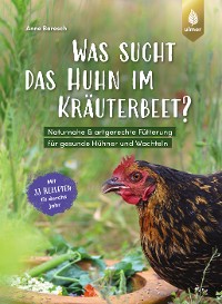 Was sucht das Huhn im Kräuterbeet?