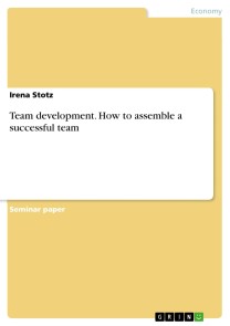 Team development. How to assemble a successful team