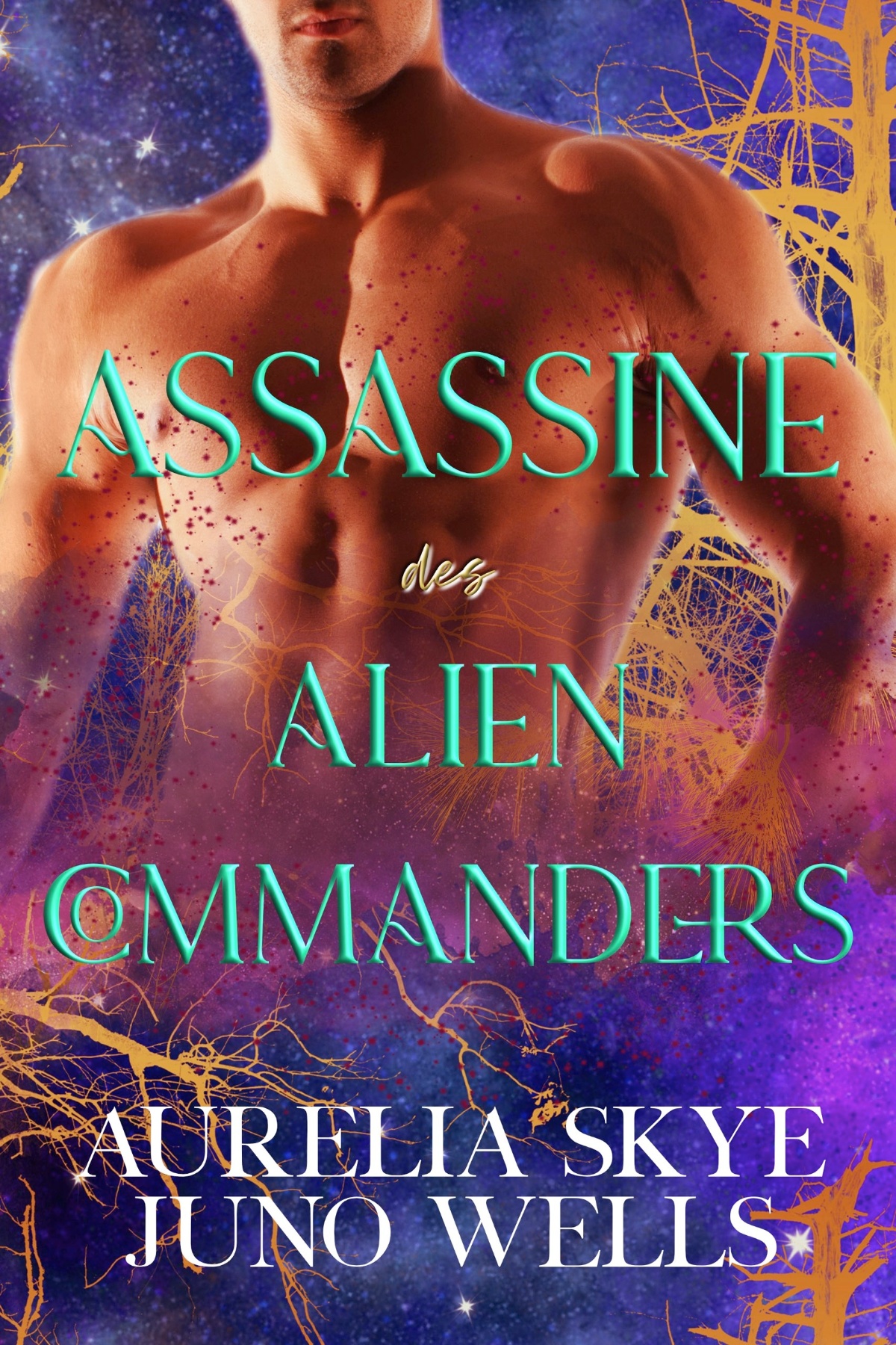 Assassine des Alien-Commanders