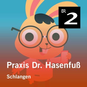 Praxis Dr. Hasenfuß: Schlangen