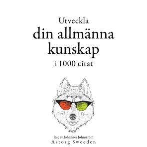 Utveckla din allmänna kunskap i 1000 offerter