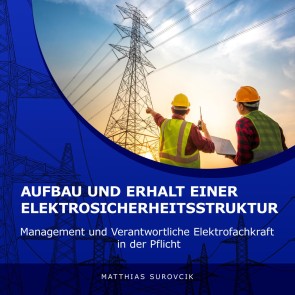 Aufbau und Erhalt einer Elektrosicherheitsstruktur