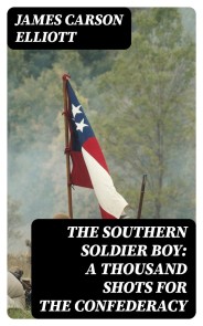 The Southern Soldier Boy: A Thousand Shots for the Confederacy