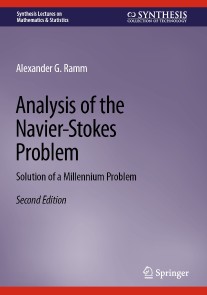 Analysis of the Navier-Stokes Problem