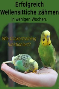 Erfolgreich Wellensittiche zähmen in wenigen Wochen. Wie funktioniert Clickertraining mit Wellensittichen?