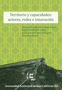 Territorio y capacidades: actores, redes e innovación