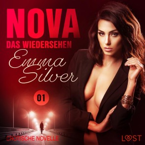 Nova 1 - Das Wiedersehen: Erotische Novelle