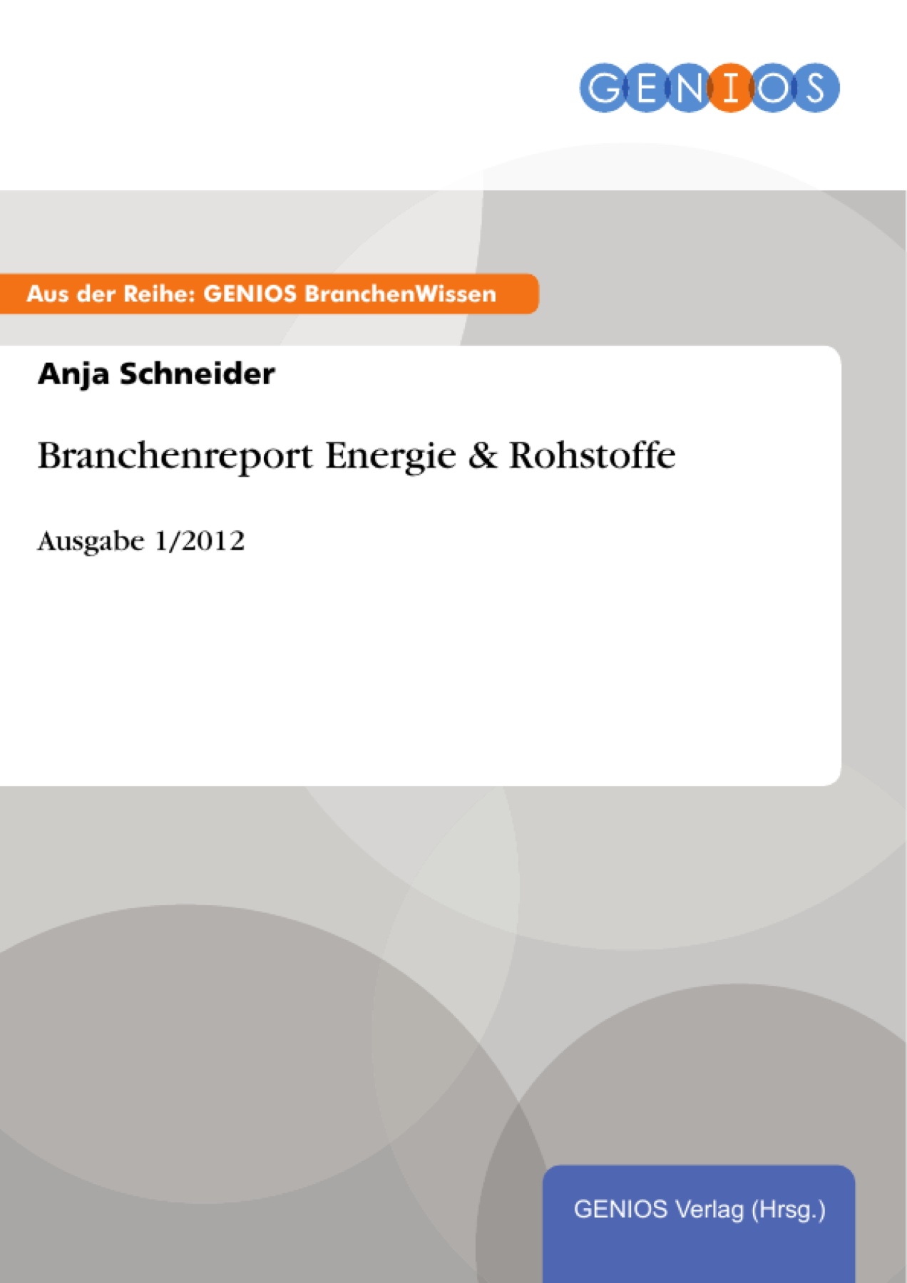 Branchenreport Energie & Rohstoffe