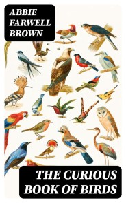 The Curious Book of Birds