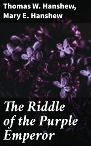 The Riddle of the Purple Emperor