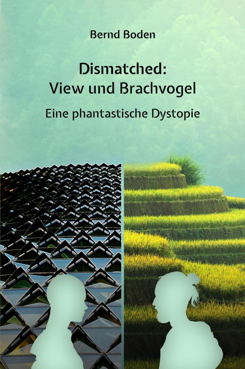 Dismatched: View und Brachvogel