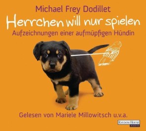 Herrchen will nur spielen