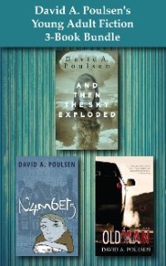 David A. Poulsen's Young Adult Fiction 3-Book Bundle