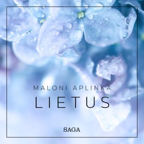 Maloni aplinka - lietus