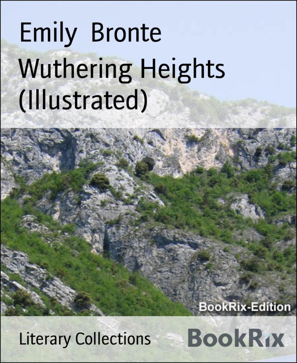 Wuthering Heights (Illustrated)