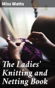 The Ladies' Knitting and Netting Book