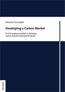 Developing a Carbon Market