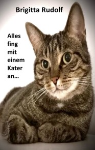 Alles fing mit einem Kater an