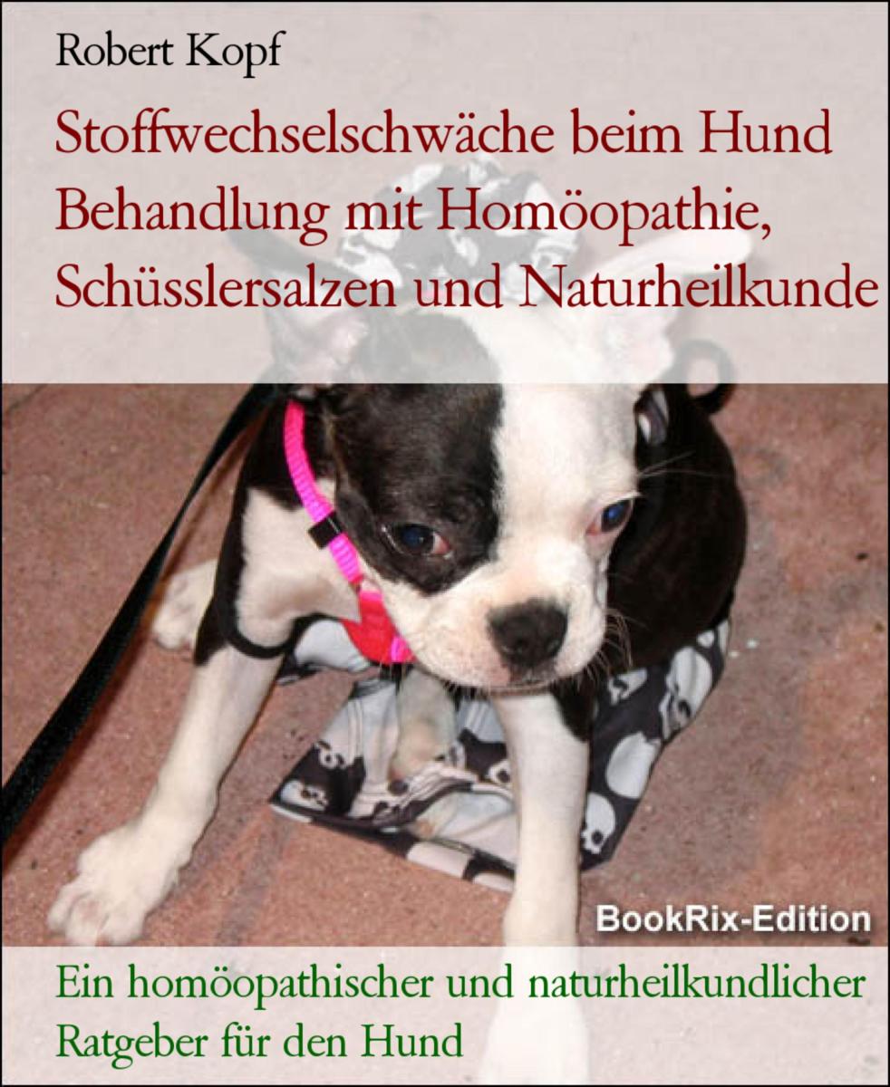 Stoffwechselschwäche beim Hund Behandlung mit Homöopathie, Schüsslersalzen und Naturheilkunde