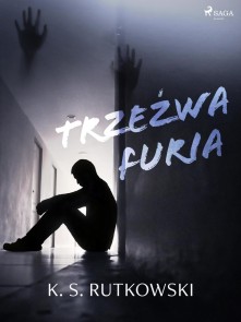 Trzezwa furia