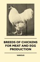 Breeds of Chickens for Meat and Egg Production