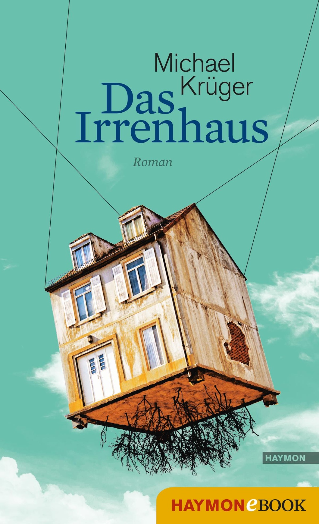 Das Irrenhaus