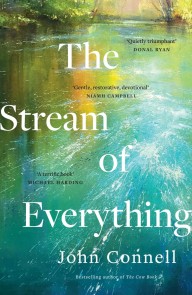 The Stream of Everything