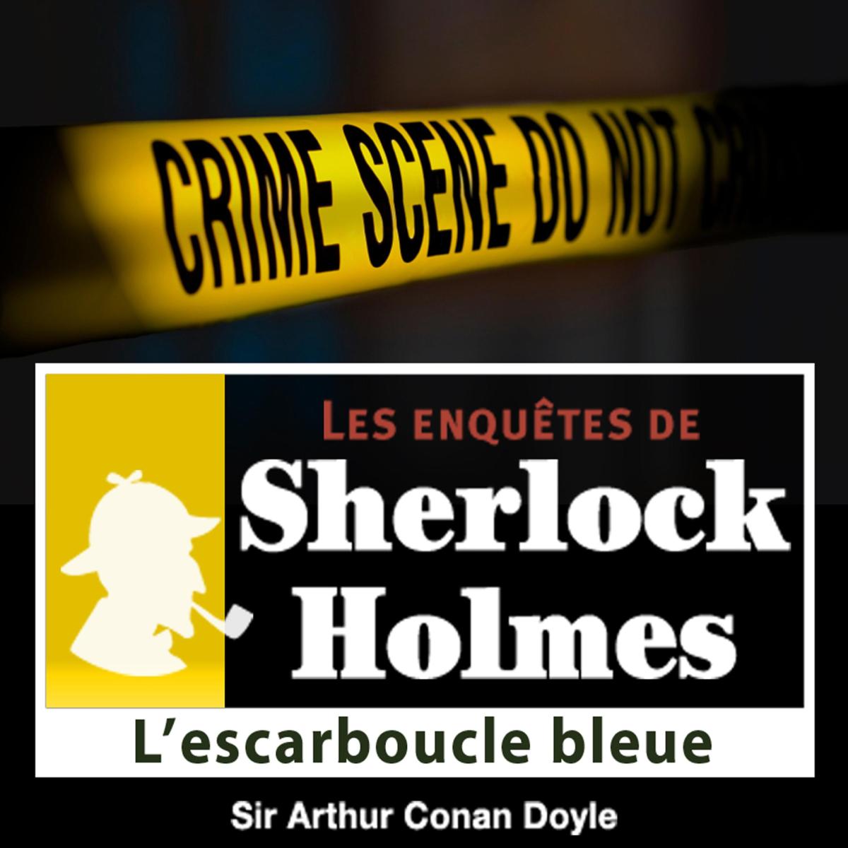 L'escarboucle bleue, une enquête de Sherlock Holmes