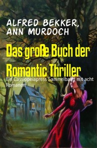 Das große Buch der Romantic Thriller