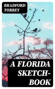 A Florida Sketch-Book