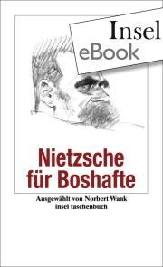 Nietzsche für Boshafte