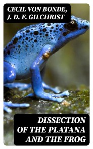 Dissection of the Platana and the Frog