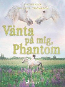 Vänta på mig, Phantom