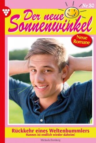 Der neue Sonnenwinkel 30 - Familienroman