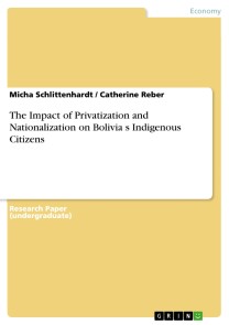 The Impact of Privatization and Nationalization on Boliviaʻs Indigenous Citizens