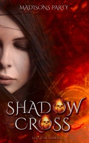 Shadowcross: Madisons Party