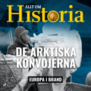 De arktiska konvojerna