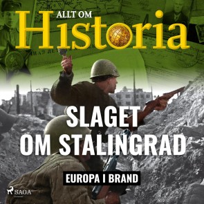 Slaget om Stalingrad