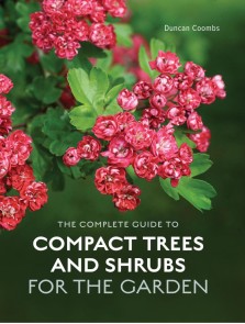 The Complete Guide to Compact Trees and Shrubs