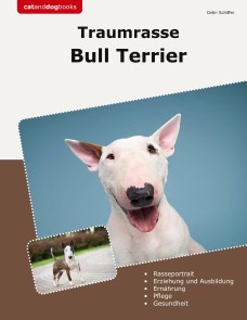 Traumrasse Bull Terrier