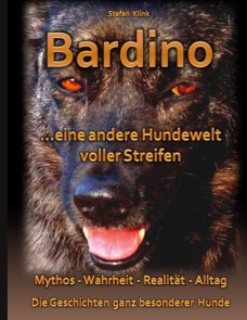 Bardino