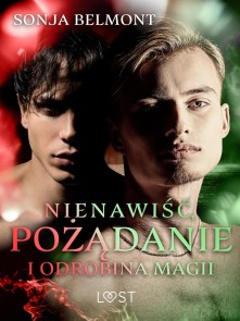 Nienawiść, pożądanie i odrobina magii: 3 opowiadania erotyczne inspirowane dynamiką Harry Potter/Draco Malfoy