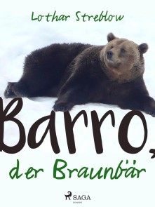 Barro, der Braunbär