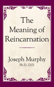 The Meaning of Reincarnation