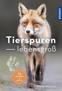 Tierspuren lebensgroß