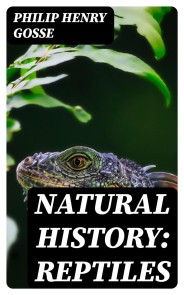 Natural History: Reptiles